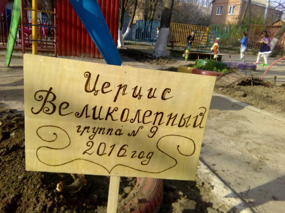1460126697261_0